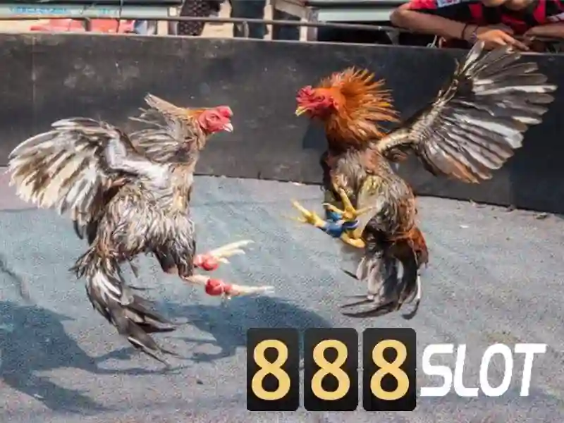 888slots apk - Khám phá nền tảng casino di động tối ưu