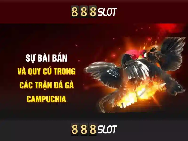 Tính năng và khuyến mãi hấp dẫn\n