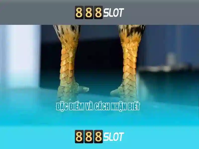 <!--IMG_PLACEHOLDER alt>Sản phẩm và dịch vụ cốt lõi của joy 888 slot-->