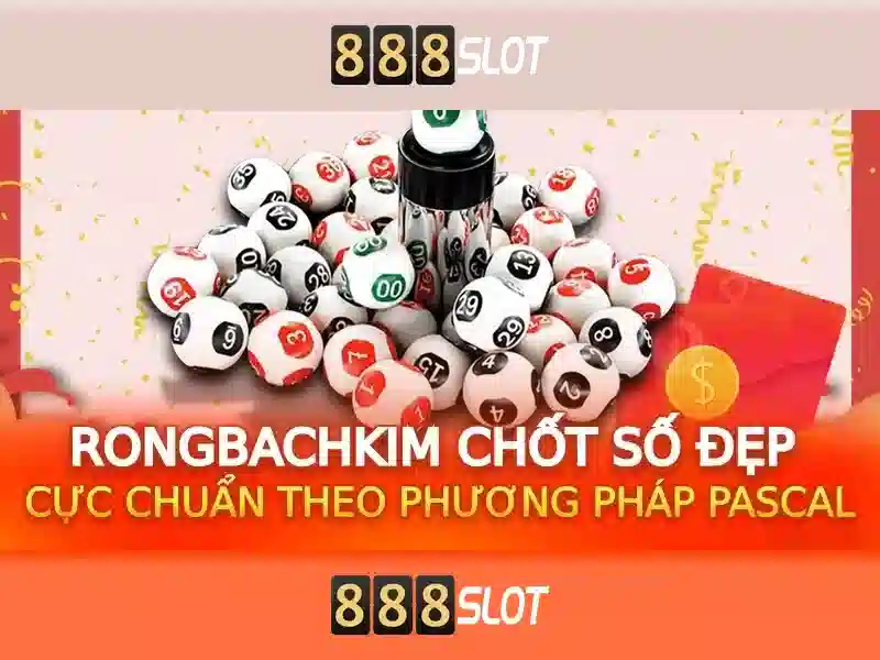 Trải nghiệm người dùng và hỗ trợ khách hàng