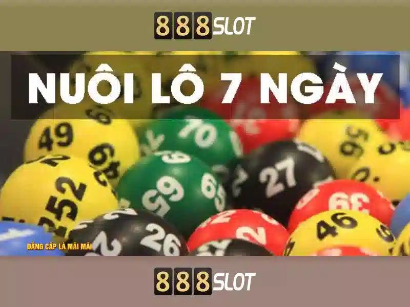 Cac san pham va dich vu cot lo cua 888 slot la gi
