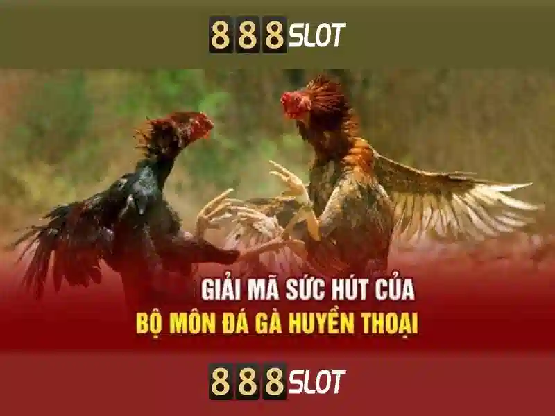 888slot – Đánh giá nền tảng trò chơi slot trực tuyến