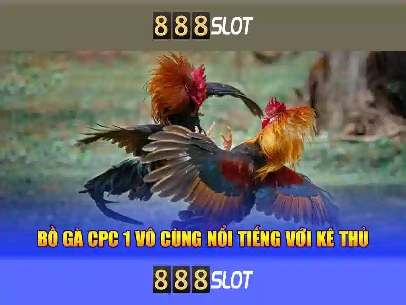 mk 888 slot – Tổng quan chủ đề và giá trị cốt lõi