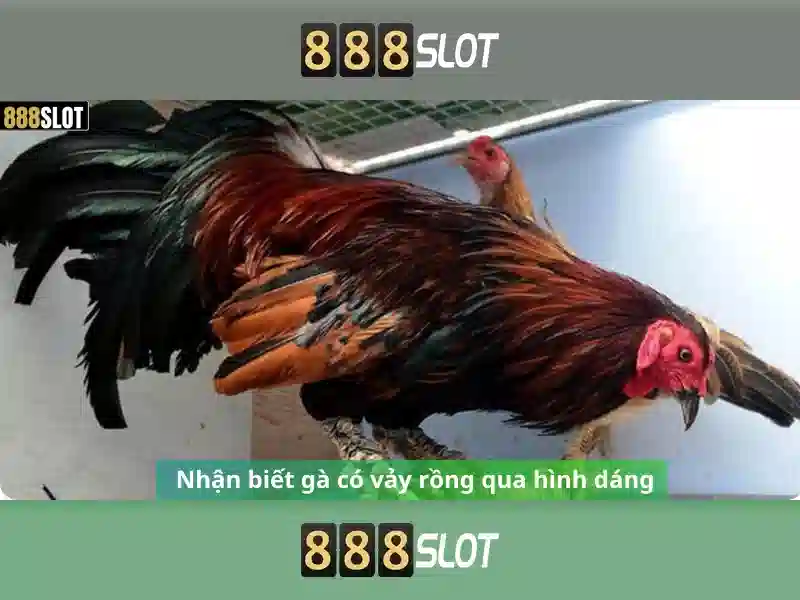 Uy tín và an toàn cho người chơi