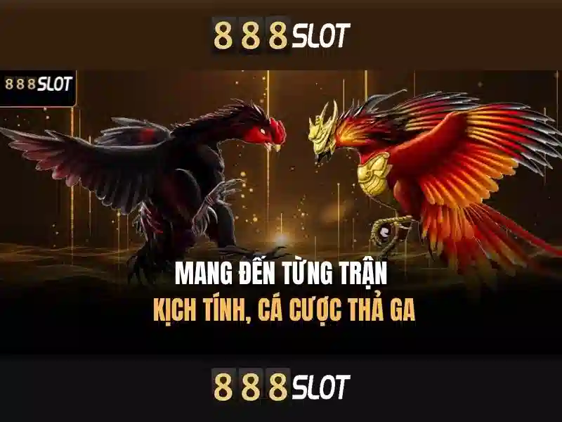 Giới thiệu về 888slot