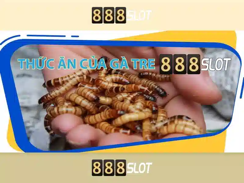 Khuyến mãi và thưởng