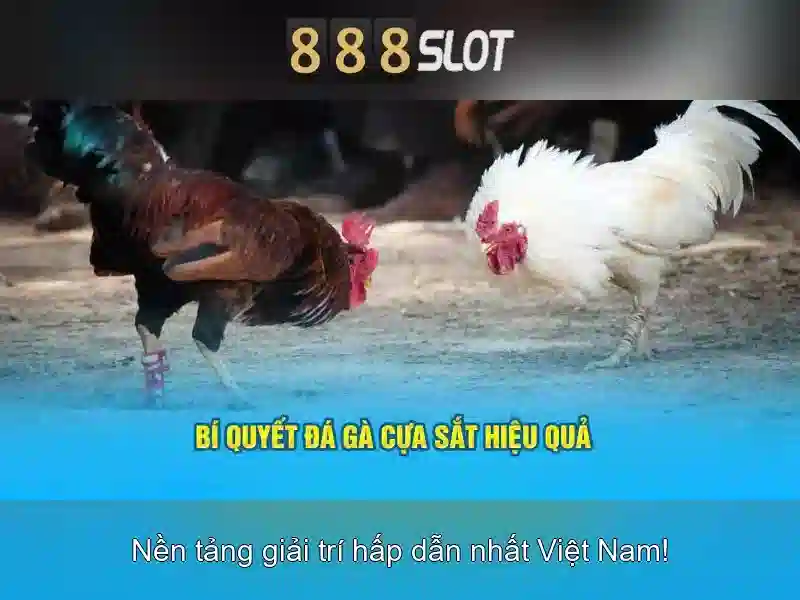 Tại sao chọn 888slot