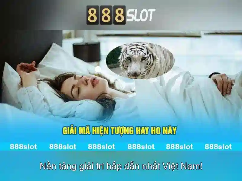 Trò chơi và trải nghiệm người dùng