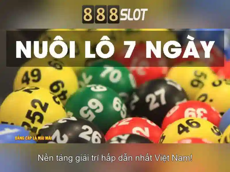 Hỗ trợ khách hàng và trải nghiệm di động